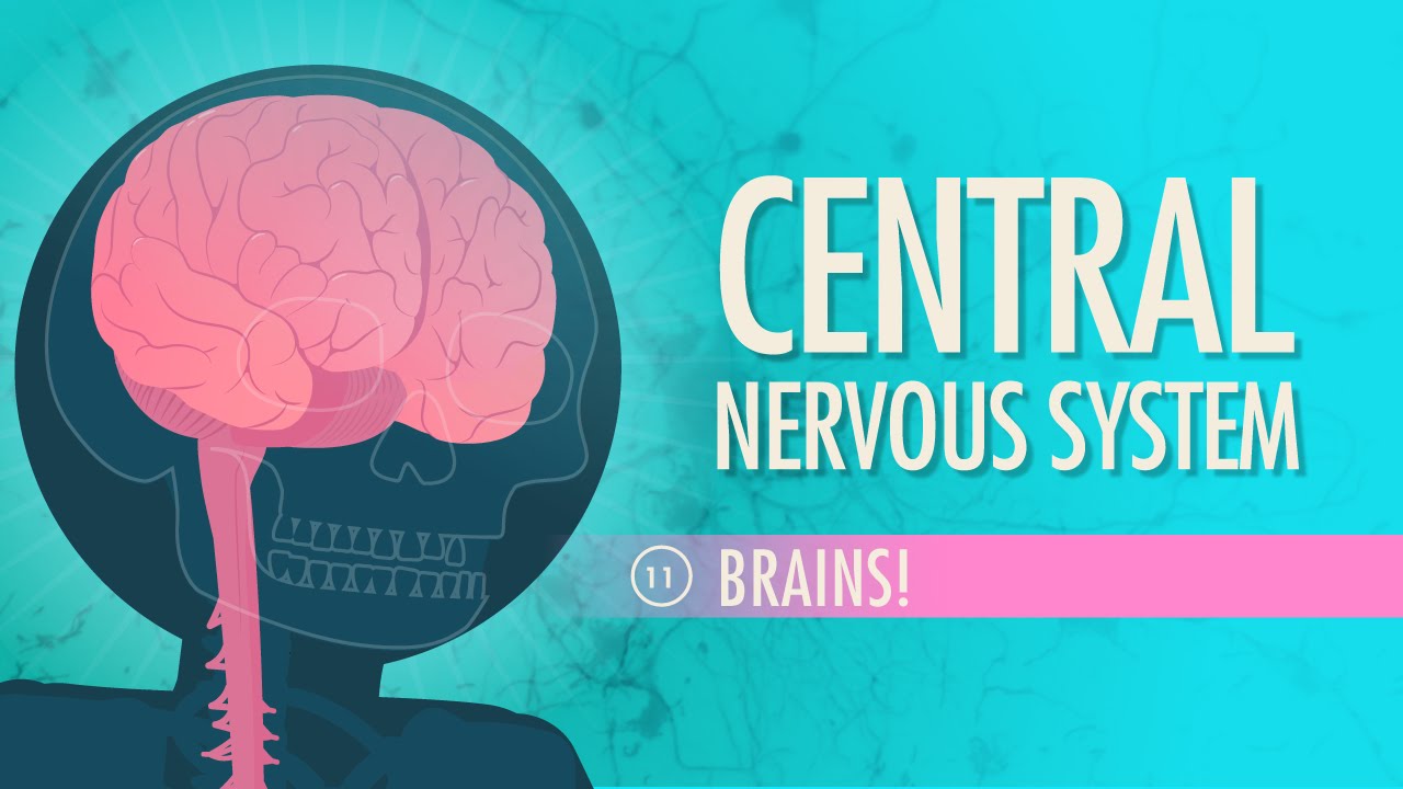 PR 225 Central Nervous System ปีการศึกษา 2/2565