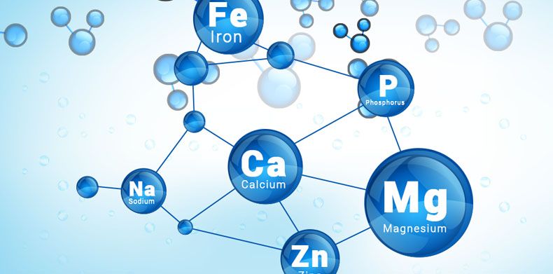 CH313 : Inorganic Chemistry II