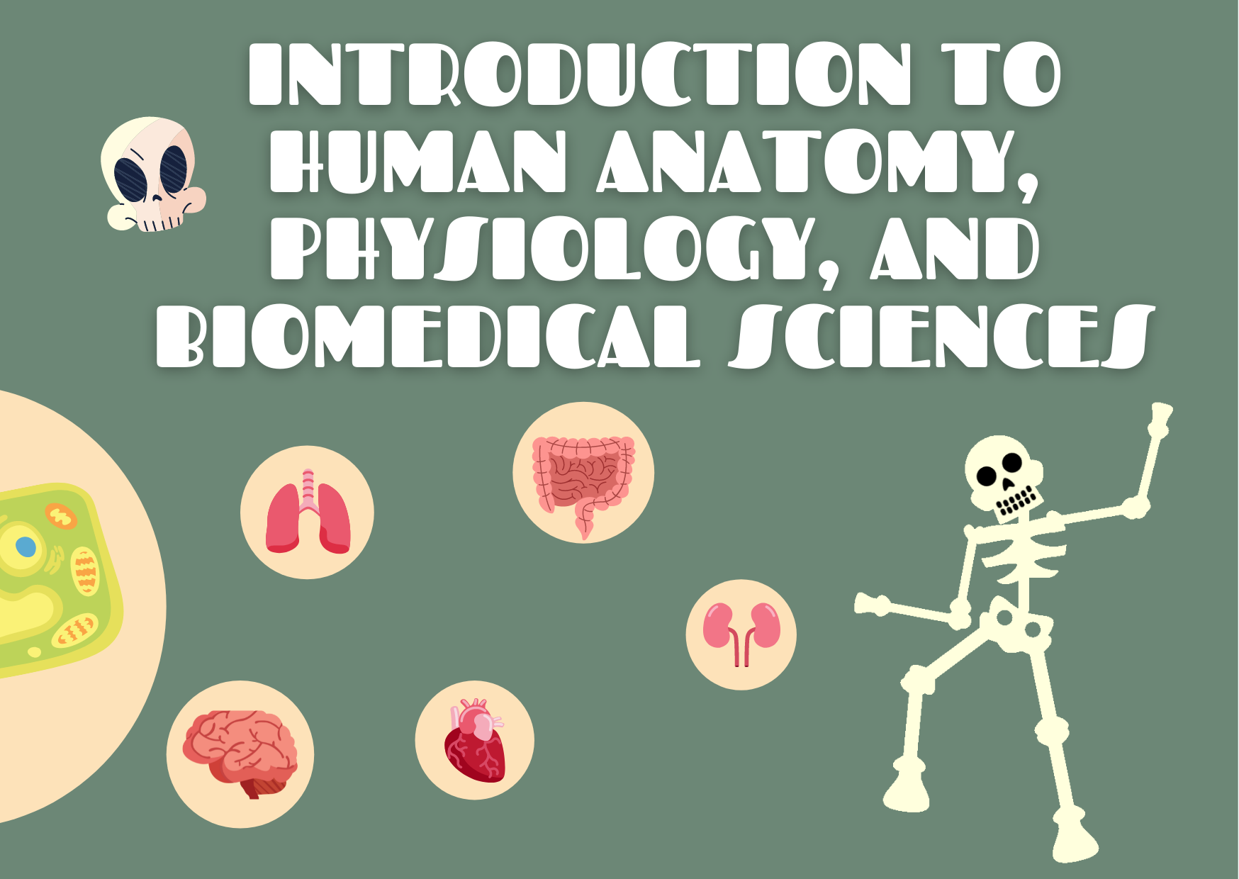 INC237 : INTRODUCTION TO HUMAN ANATOMY, PHYSIOLOGY, AND BIOMEDICAL SCIENCES 