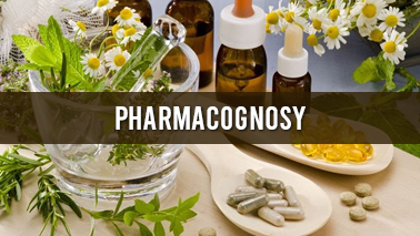 PPG241: Pharmacognosy (2564)