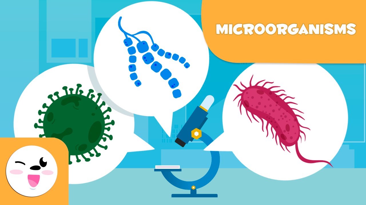 MB222_2564 Fundamentals of Microbiology and Parasitology
