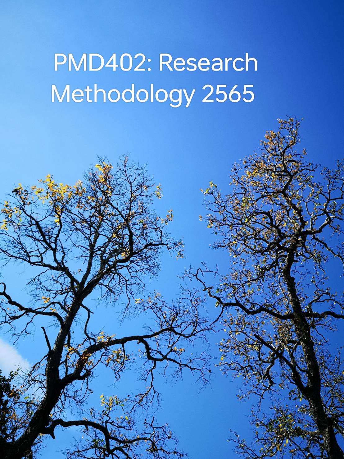PMD402: Research Methodology in Pharmaceutical Sciences_2565