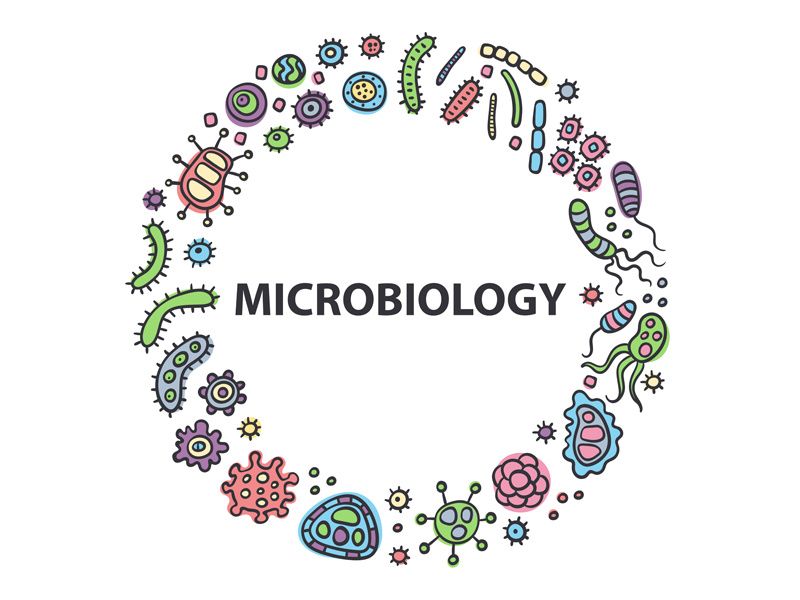 MB225_2565_Clinical Microbiology and Parasitology for Nurses