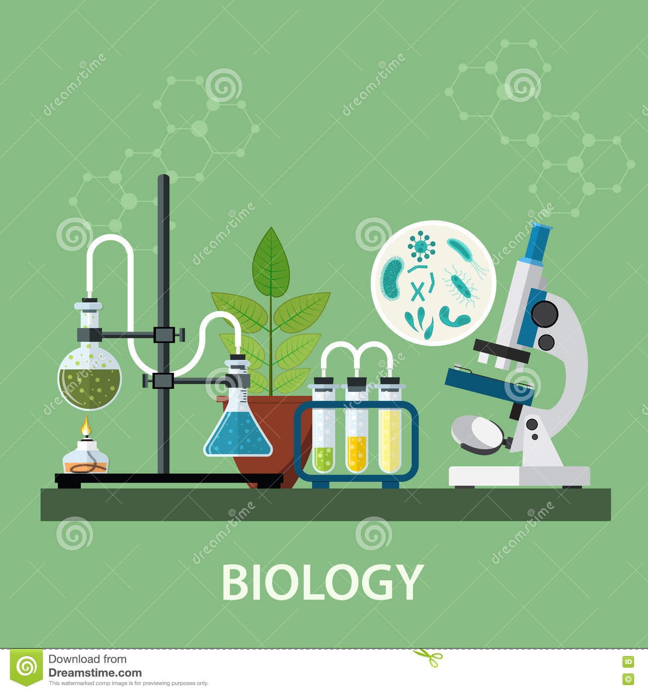 BI191 Biology Laboratory 1 1/2566 (OKR Only)