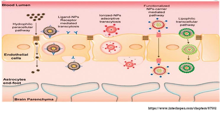 PPT724: Development of Drug Delivery System_2567