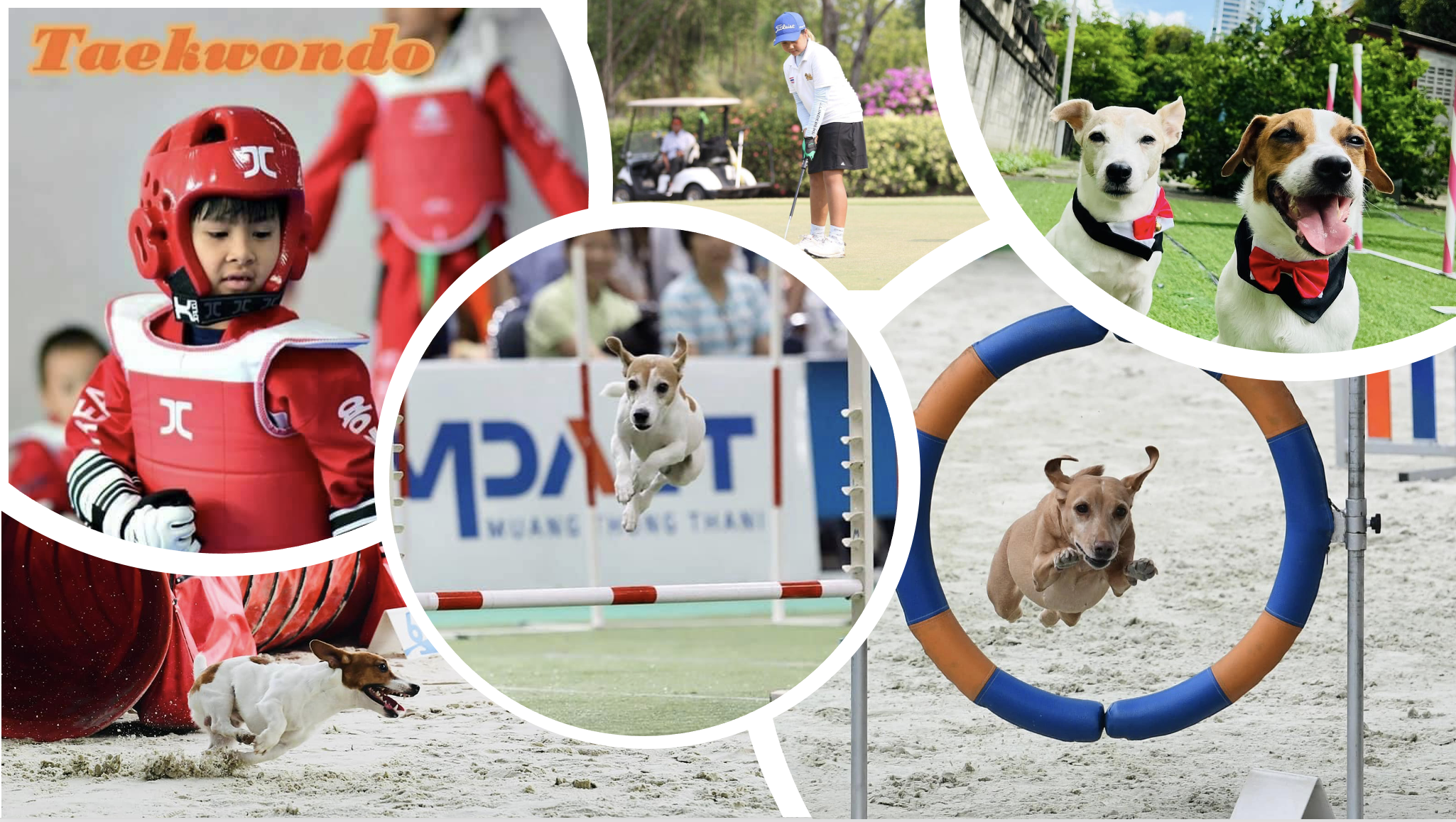 ZSC25 (1/2567): Materials for Sports and Pets