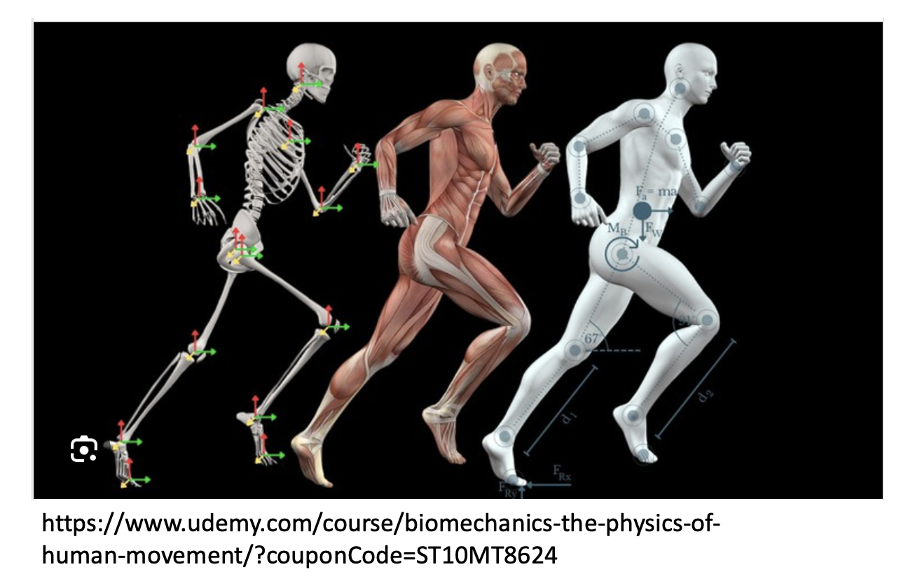 PY161 Basic Physics for Health Science (1/2567)