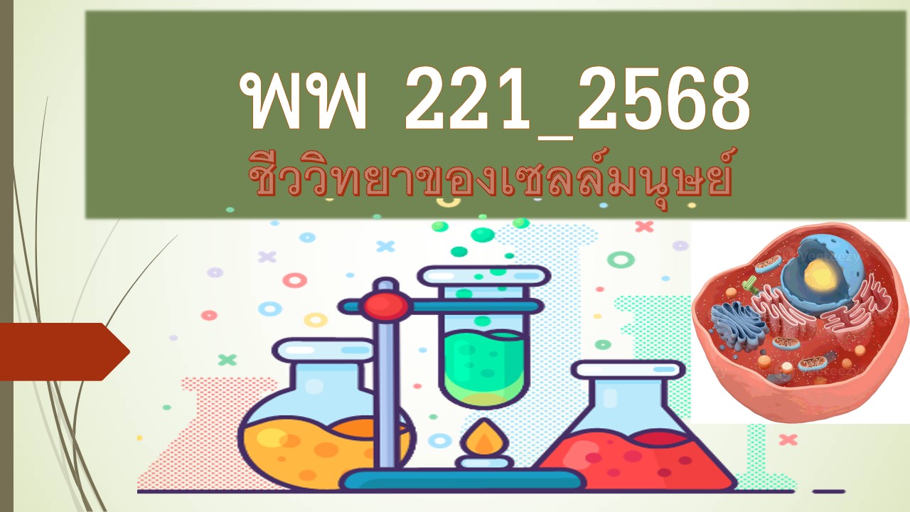 พพ221 ชีววิทยาของเซลล์มนุษย์  [1/2568]