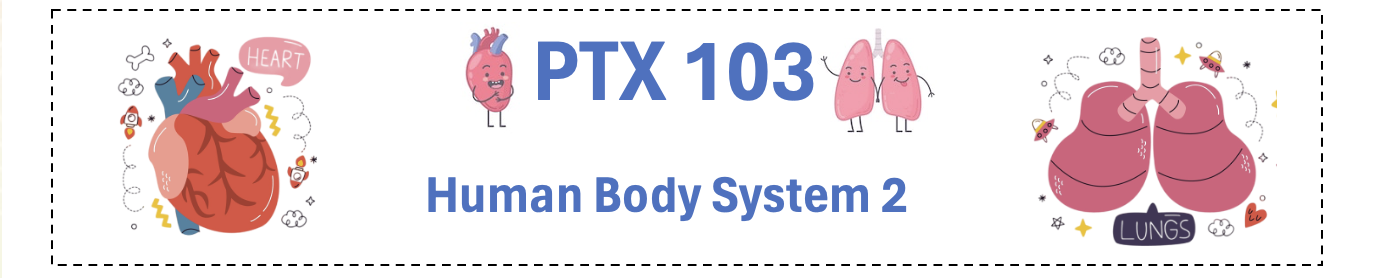 PTX 103 Human Body System 2
